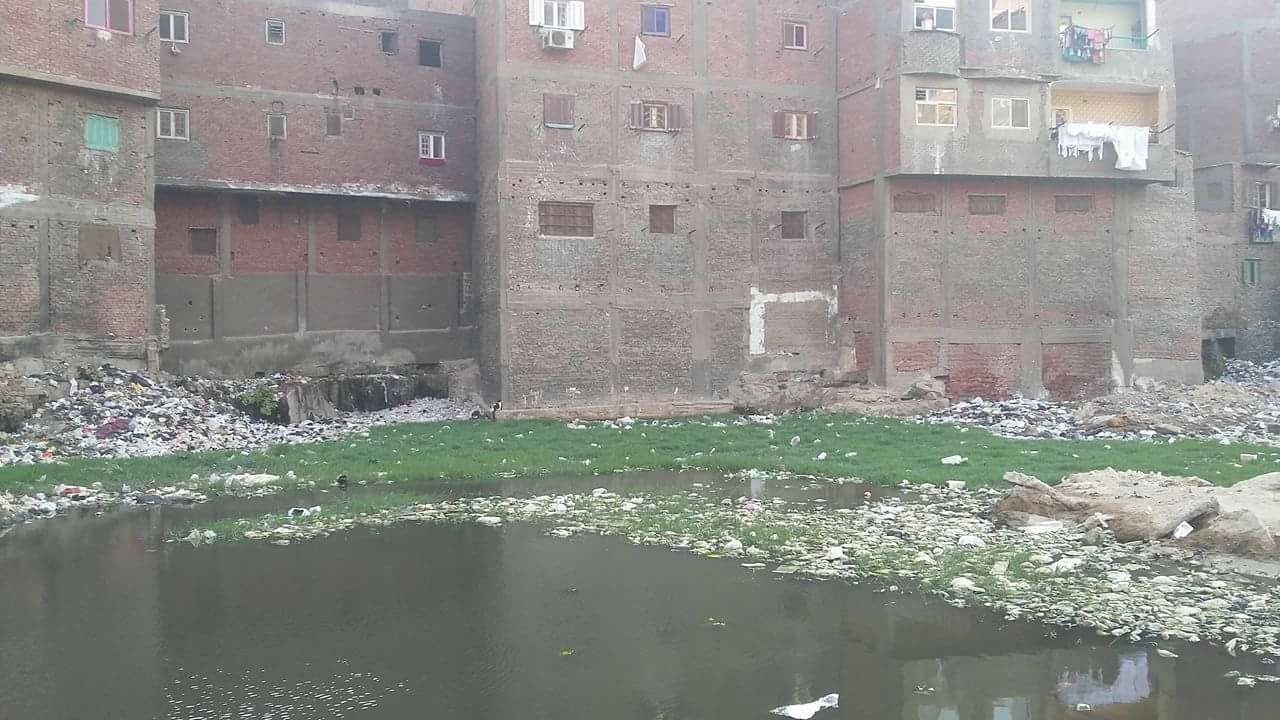 مياه الصرف الصحى بشارع حافظ