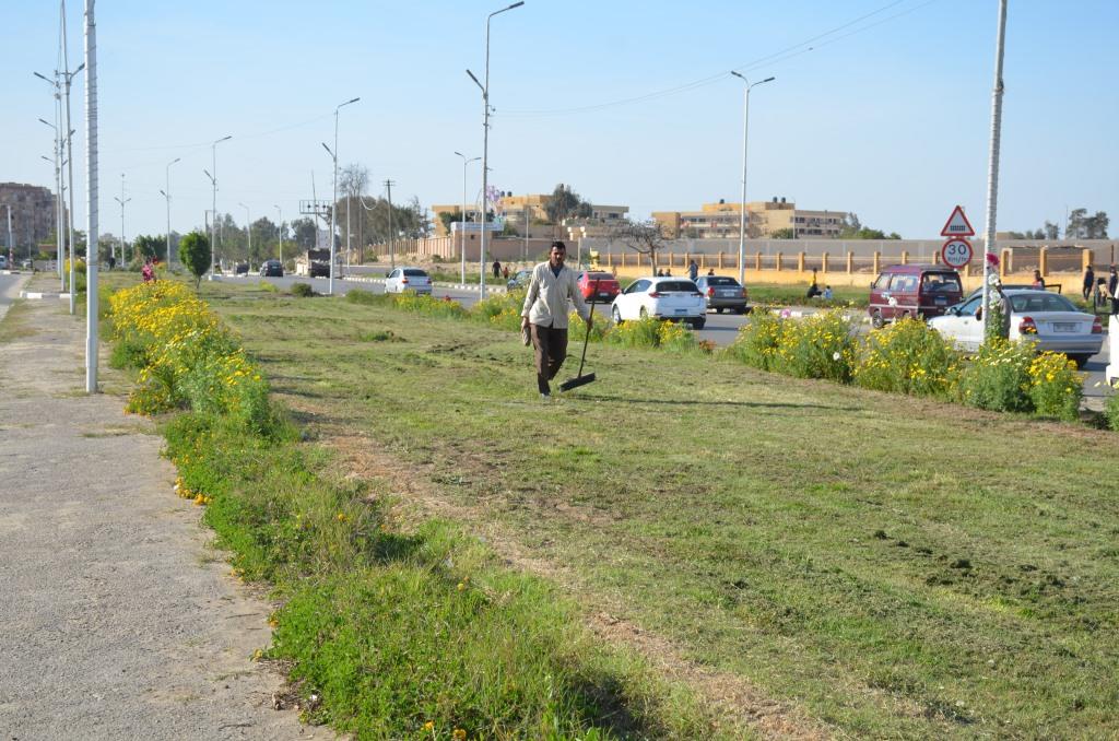  تطوير الجزيرة الوسطى بالدائري