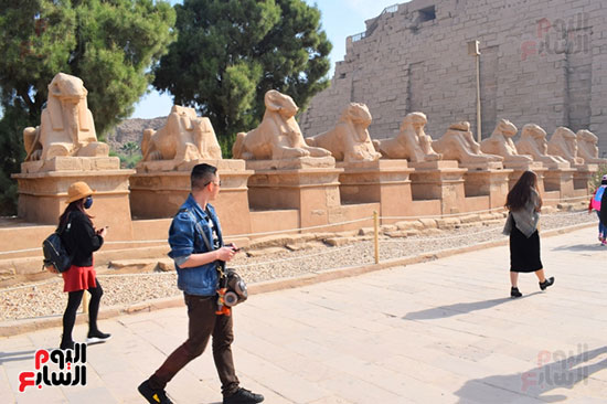 جانب من الزيارات المميزة بجوار كباش الأقصر