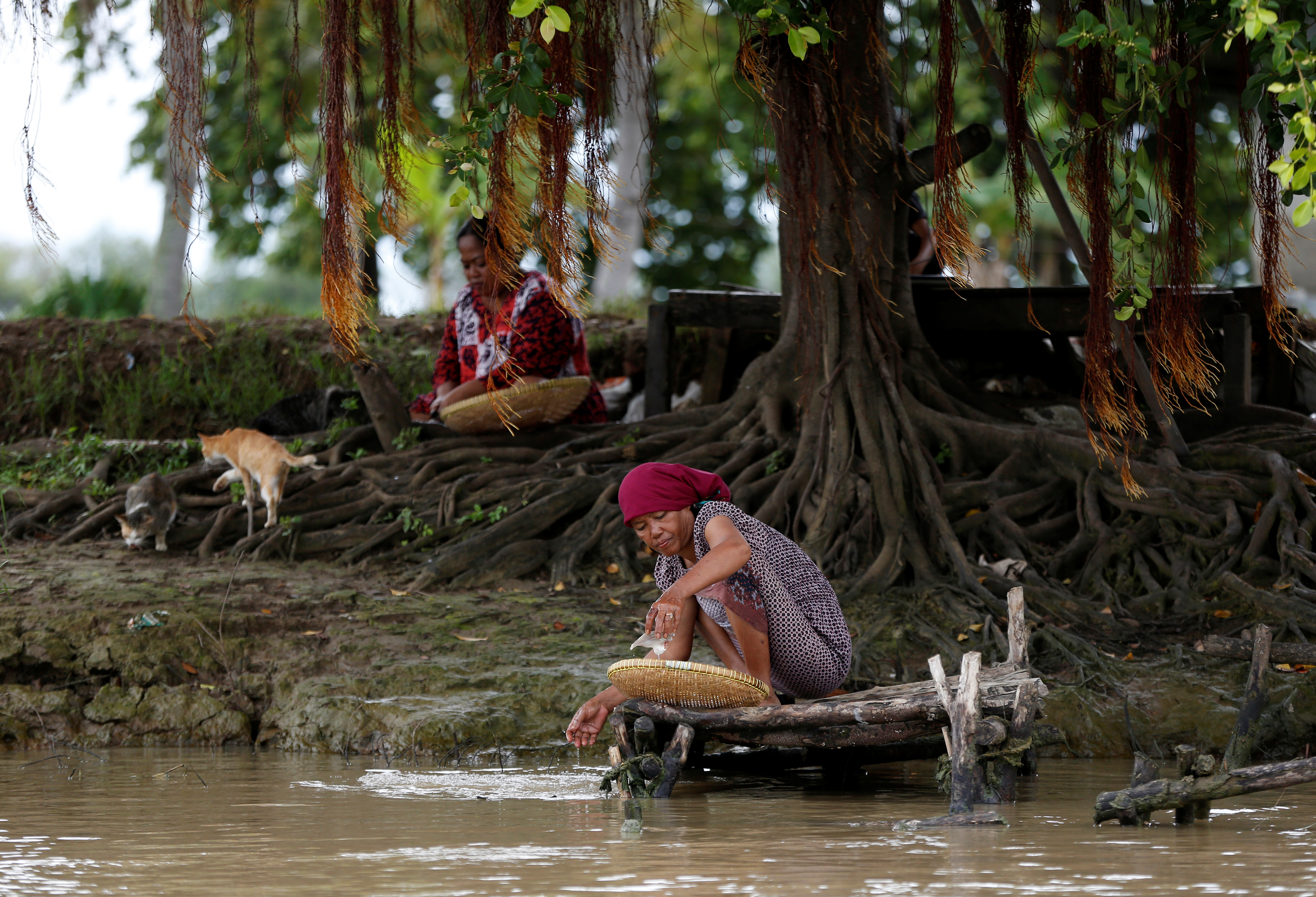 أحد المواطنين يغسلون بالنهر