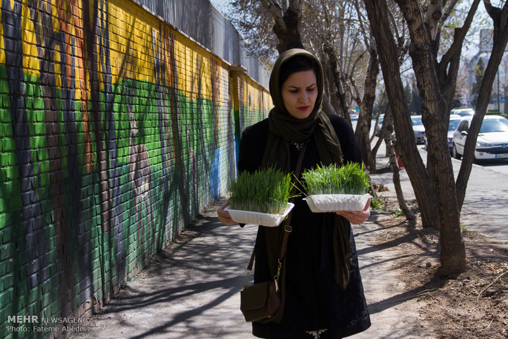 ايرانية تحمل حشائش خضراء