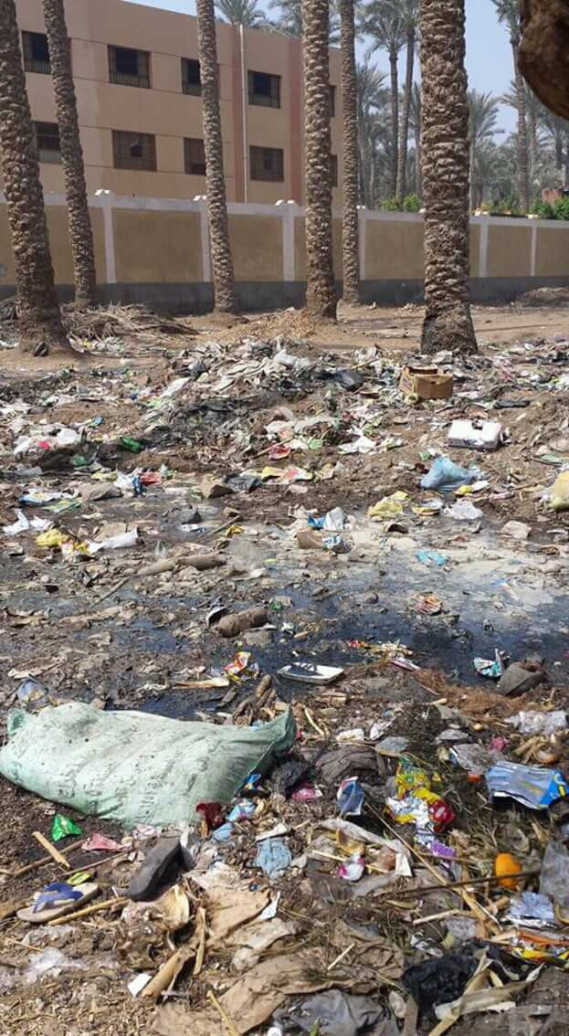 القمامة تحاصر مدرسة بقرية الشنباب