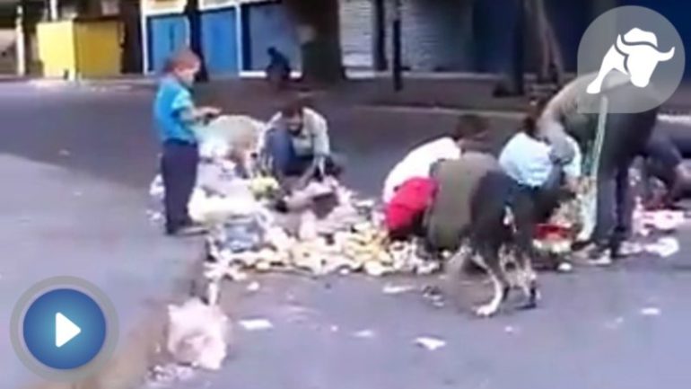 3201822182928546-اطفال فنزويلا يشاركون الكلاب الطعام من حاويات القمامة