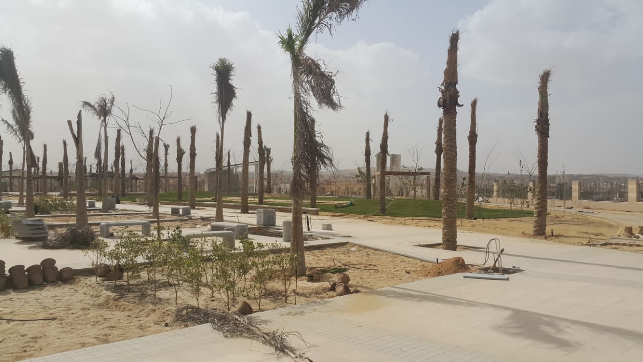 الحديقة المركزية بمدينة الشيخ زايد  (11)