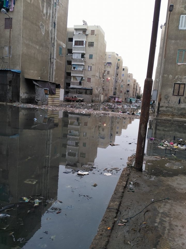 مياه الصرف فى الضواحى ببورسعيد (3)