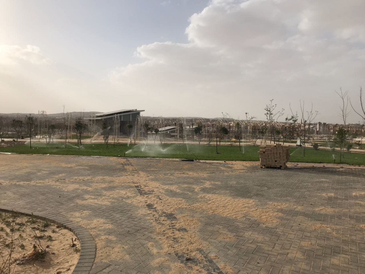 الحديقة المركزية بمدينة الشيخ زايد  (9)