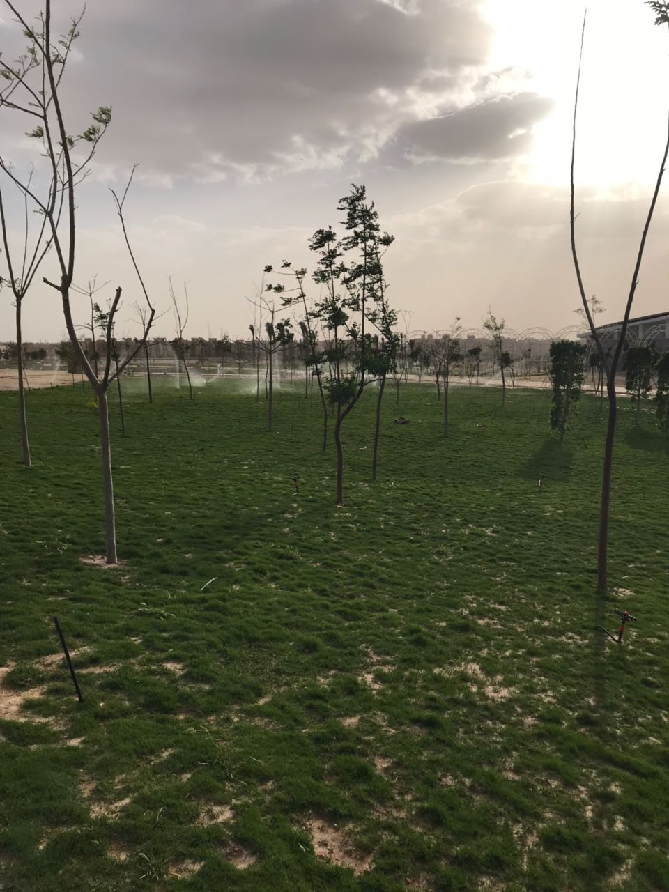 الحديقة المركزية بمدينة الشيخ زايد  (8)