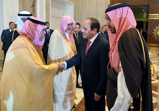 السيسى و محمد بن سلمان بن عبد العزيز (6)