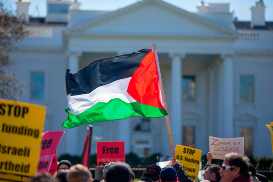 العلم الفلسطينى خلال التظاهرات 