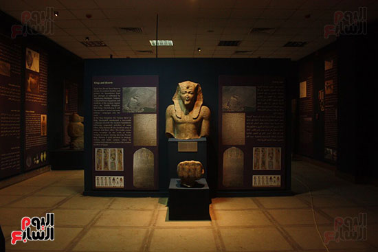  متحف أثرى بمحافظة مطروح  (18)