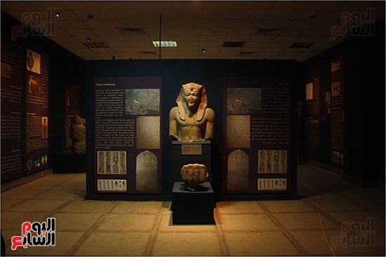 متحف أثرى بمحافظة مطروح  (21)