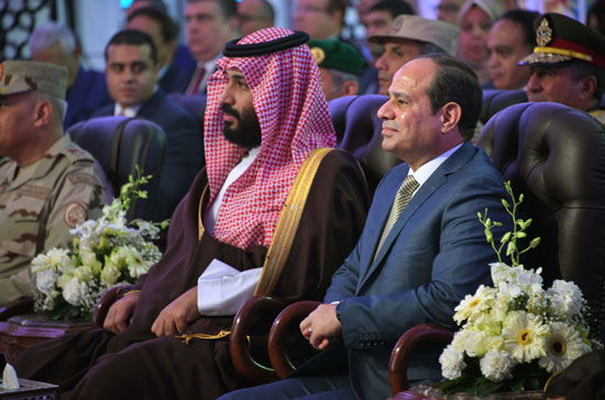 الأمير محمد بن سلمان والرئيس السيسي