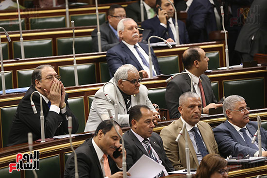 مجلس النواب البرلمان (24)