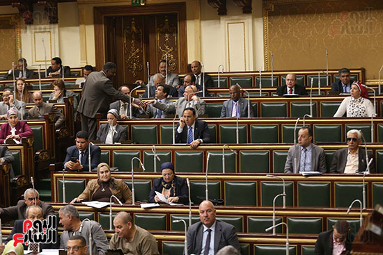 مجلس النواب البرلمان (23)