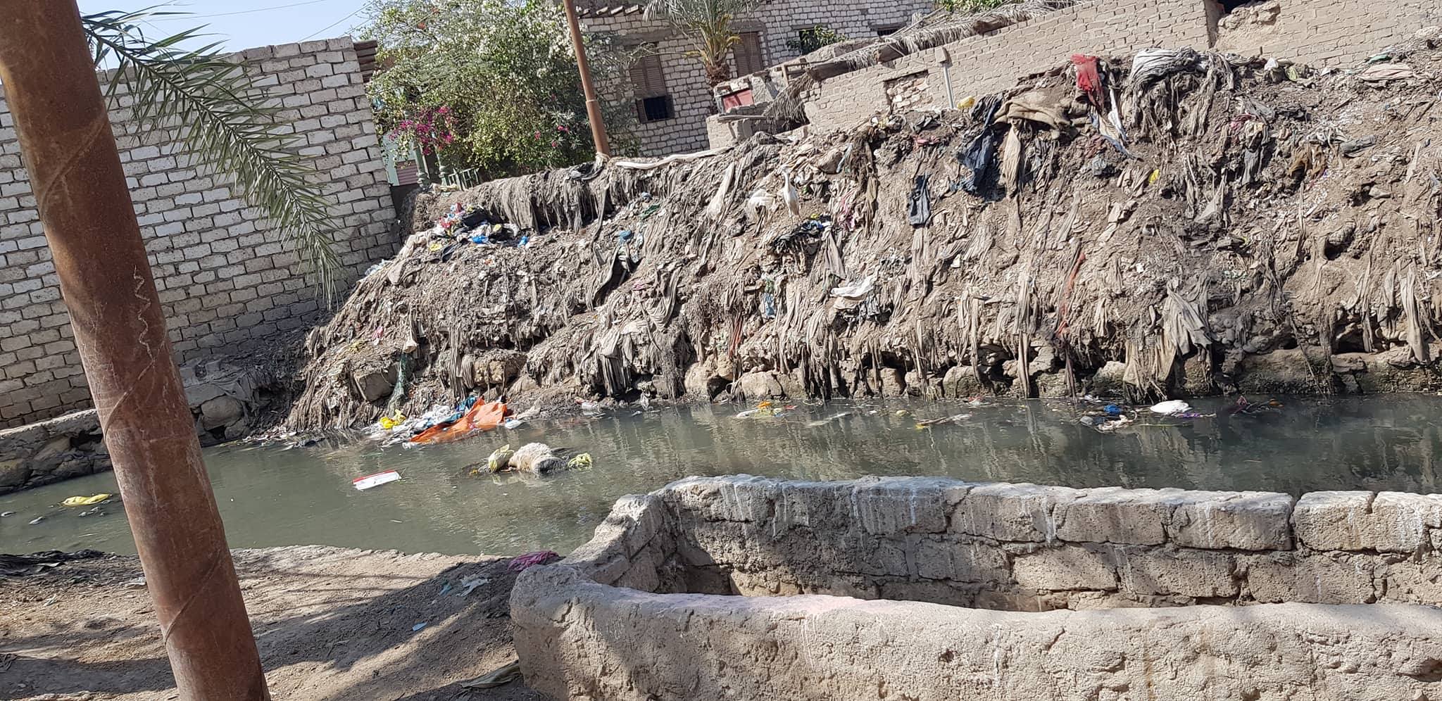 قرية سرسنا تغرق في مياه الصرف الصحى