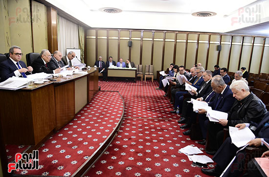 صور لجنة الشئون التشريعية والدستورية (8)