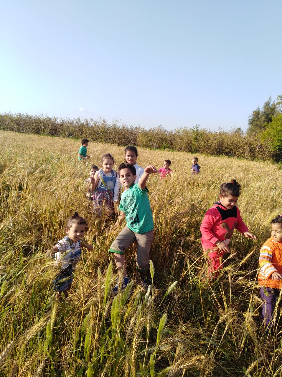 أطفال يستمتعون بشم النسيم فى الحقول