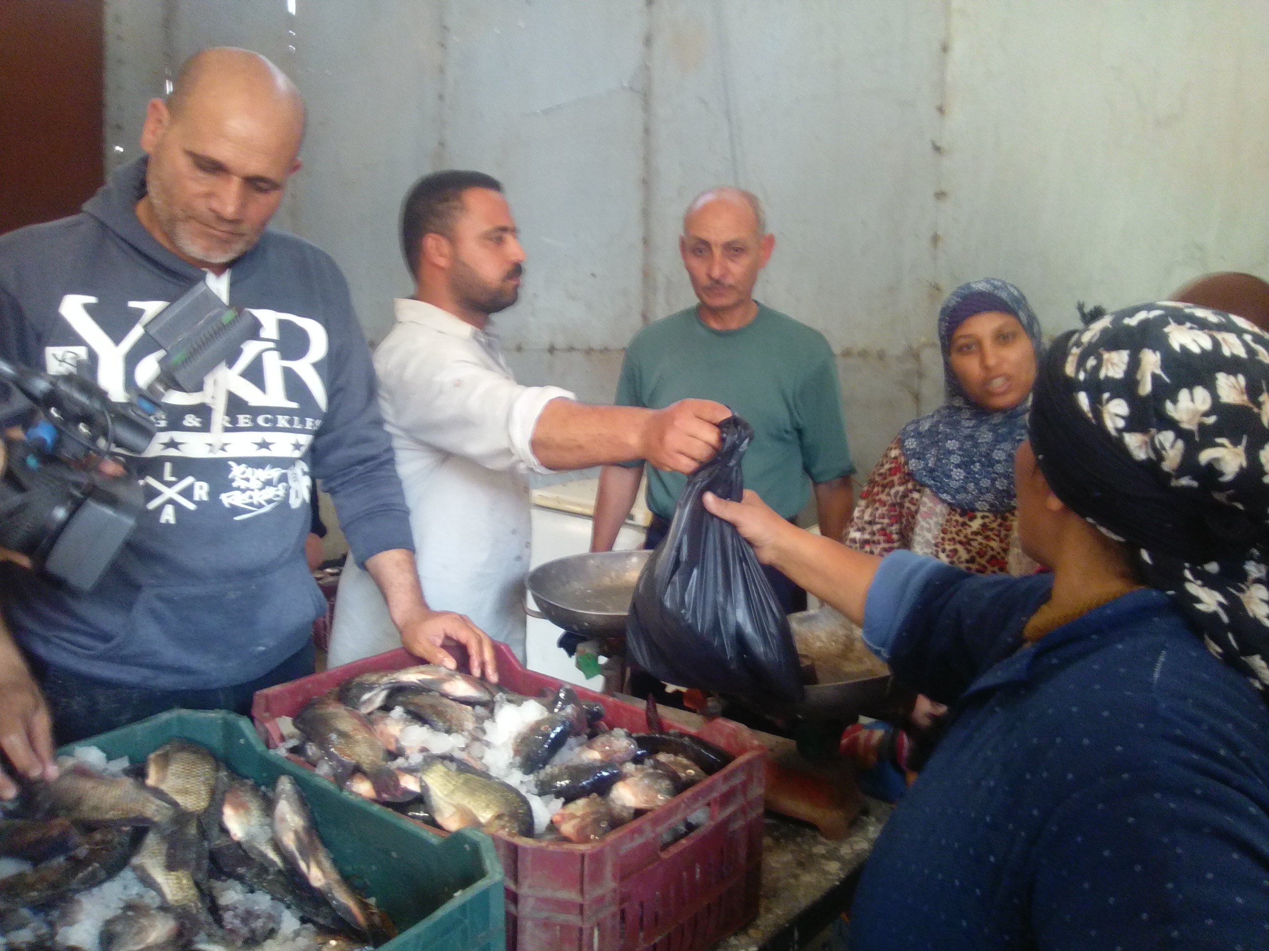 2- اقبال عل شراء بلطي مزرعة غليون 2- اقبال عل شراء بلطي مزرعة غليون