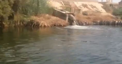 تلوث مياة النيل