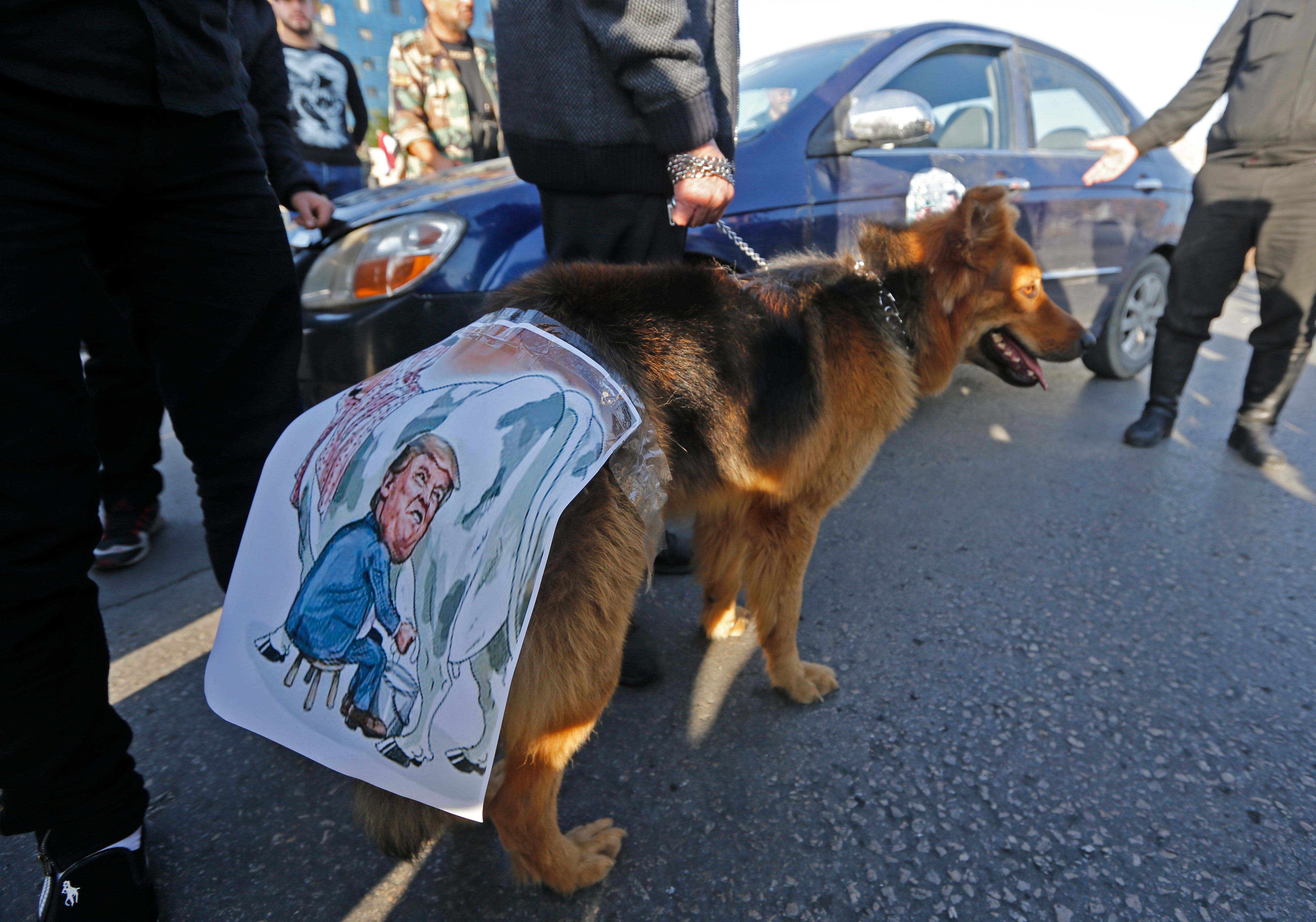 وضع صورة الرئيس الأمريكى على كلب 
