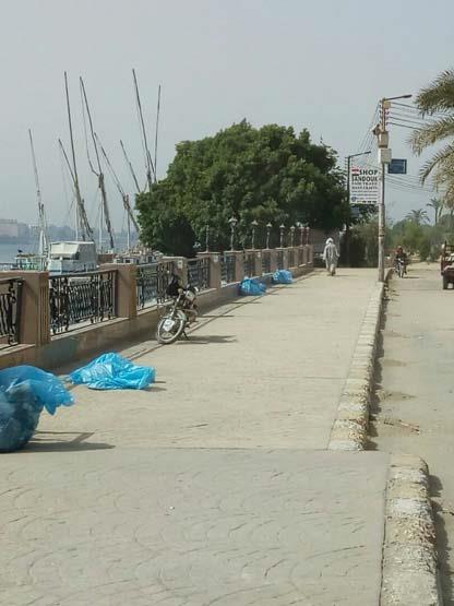 جانب من أكياس القمامة بعد تنظيف نهر النيل