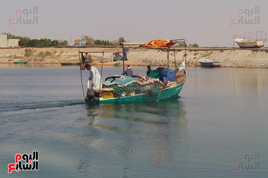 مراكب الصيد ببحيرة ناصر