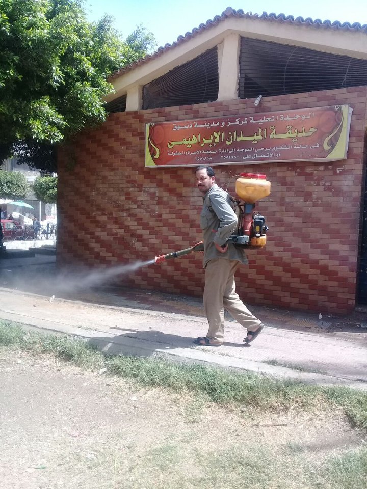 1- مكافحة الحشرات الطائرة بدسوق 1- مكافحة الحشرات الطائرة بدسوق