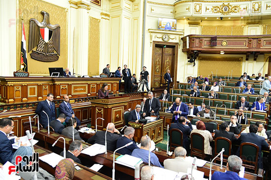 صور مجلس النواب (8)
