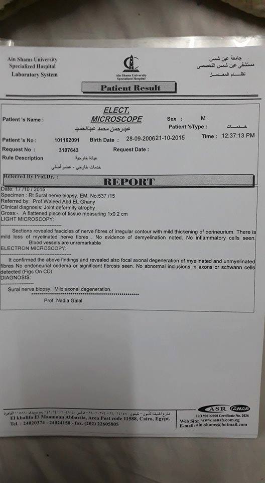 تقرير