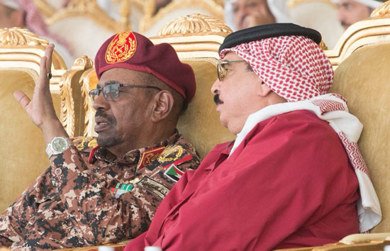 القادة العرب خلال فعاليات تمرين درع الخليج المشترك 1