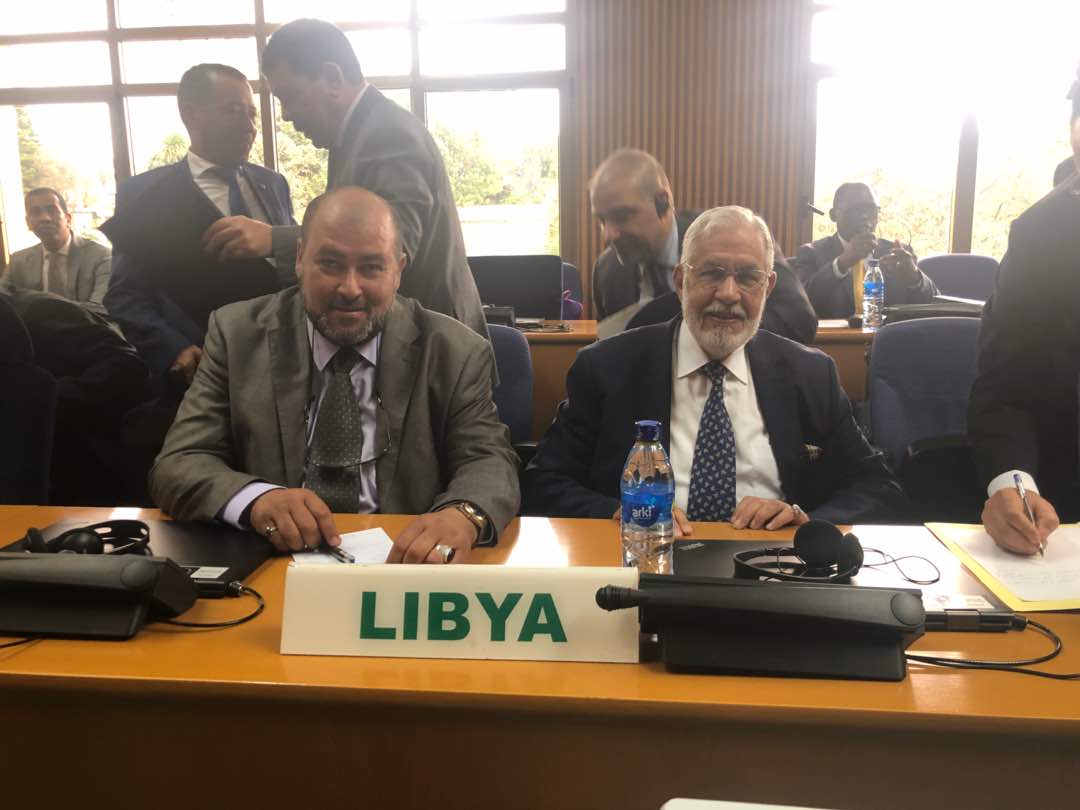 وزير خارجية ليبيا يرحب بجهود الاتحاد الافريقى لحل الأزمة ببلاده (7)