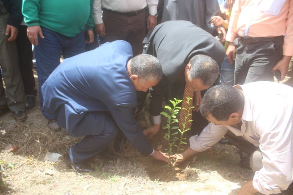1- زراعة الأشجار في حملة بكفر الشيخ
