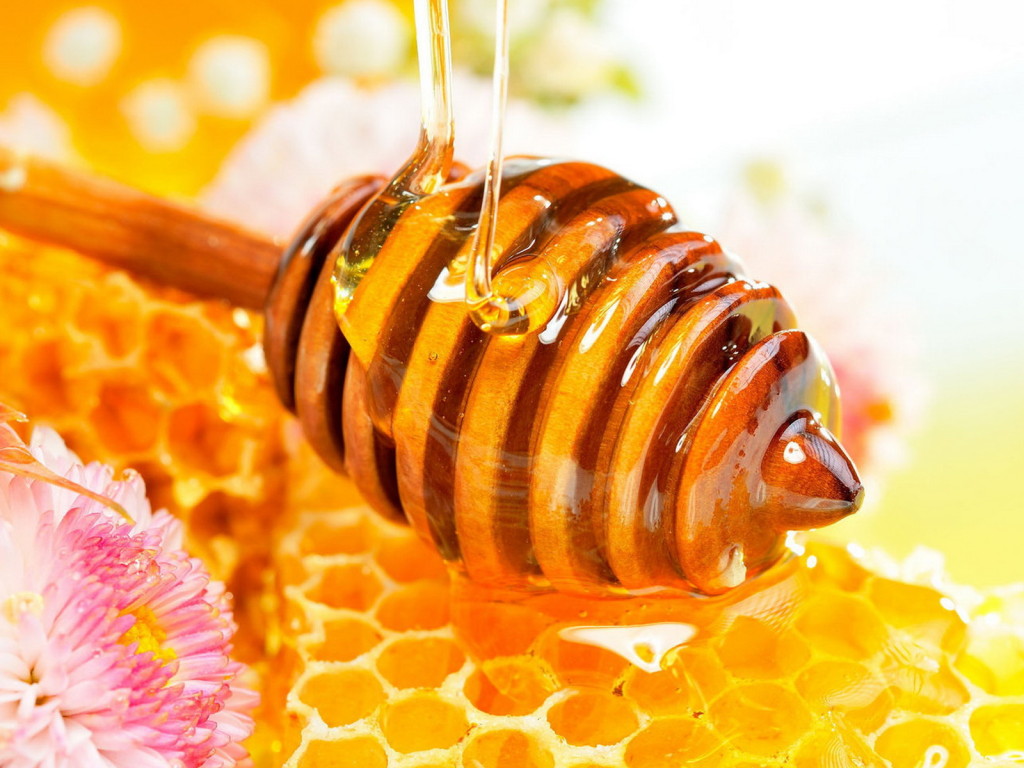 علاج فقر الدم بالعسل