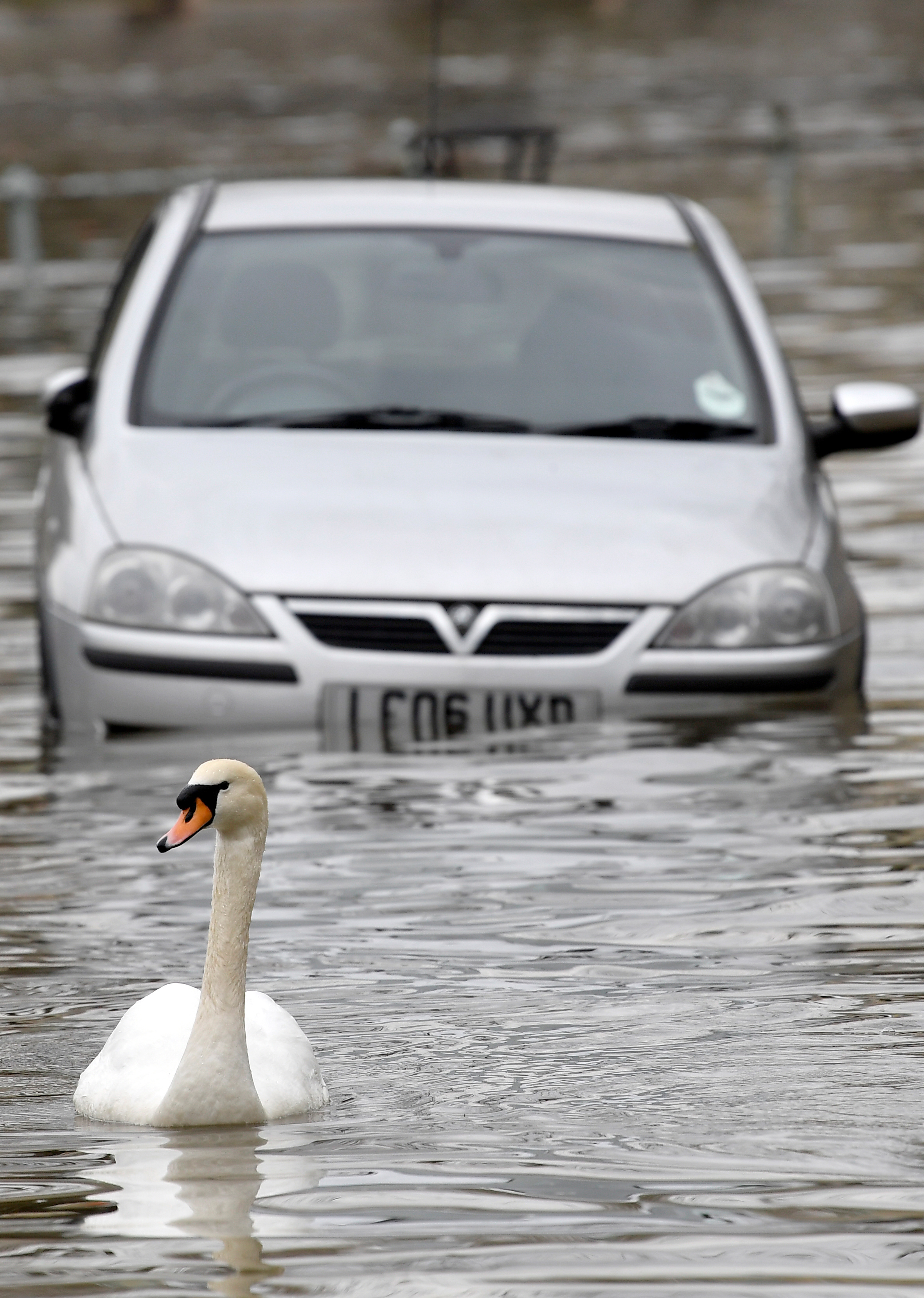 غرق السيارات بمياه الأمطار