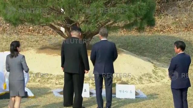 زعيما الكوريتين يزرعان شجرة