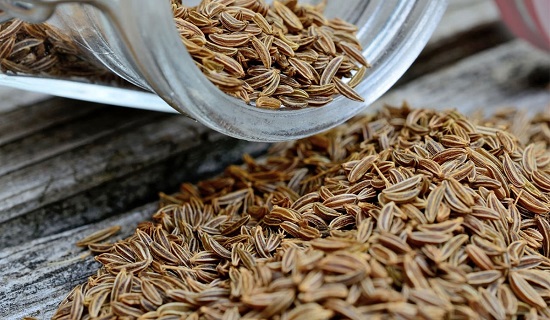 شمر 6