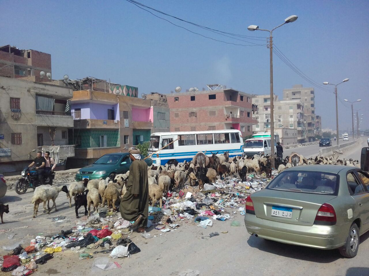 القمامة بقرية طناش