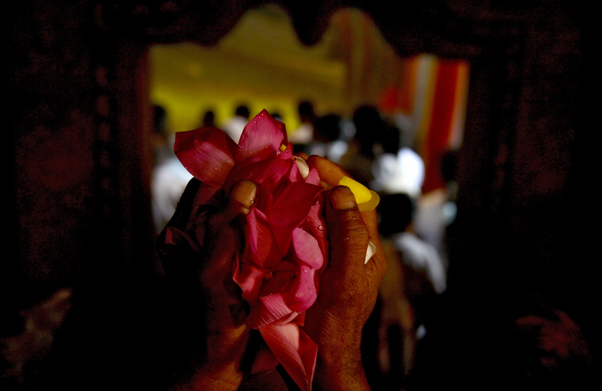 طقوس الاحتفال بذكرى ميلاد بوذا فى سريلانكا