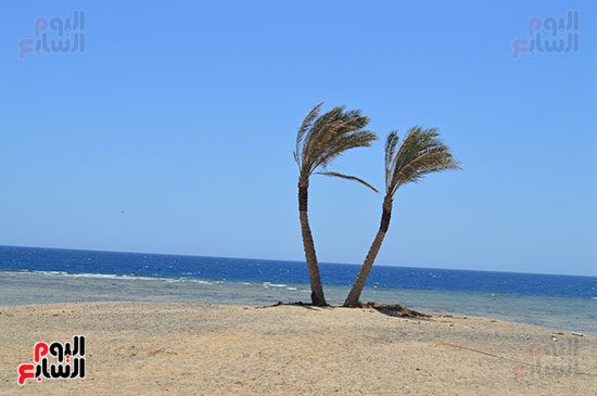 خليج أبو دباب سمى بالشاطئ ذو القاع الأخضر