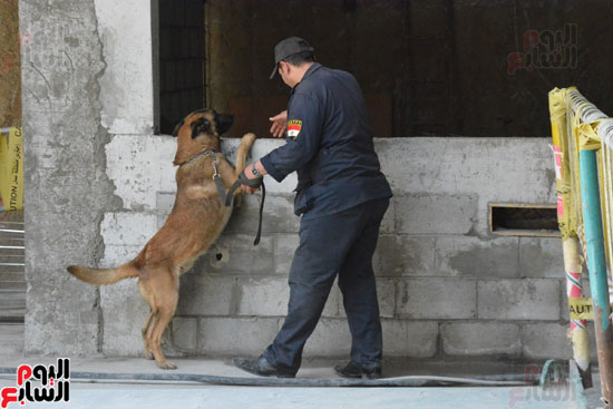 الكلب البوليسى روكو يشارك فى تأمين محطة هليوبوليس (4)