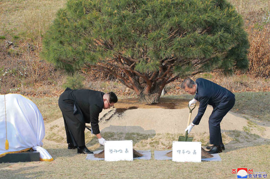 زعيما الكوريتين يغرسان شجرة فى منطقة السلام