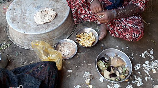  صورة لطعام الأسر من مش وبصل وباذنجان