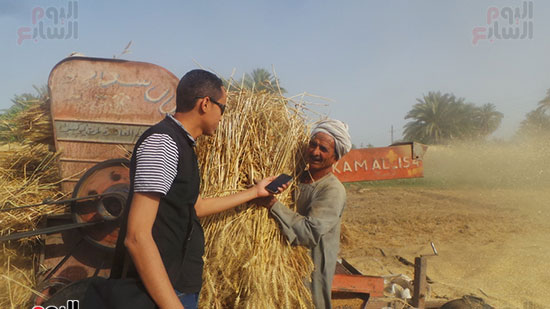   صحفى اليوم السابع مع عمالة الحصاد