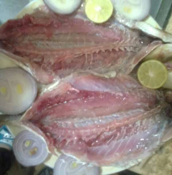 سمك البورى بعد نضجة