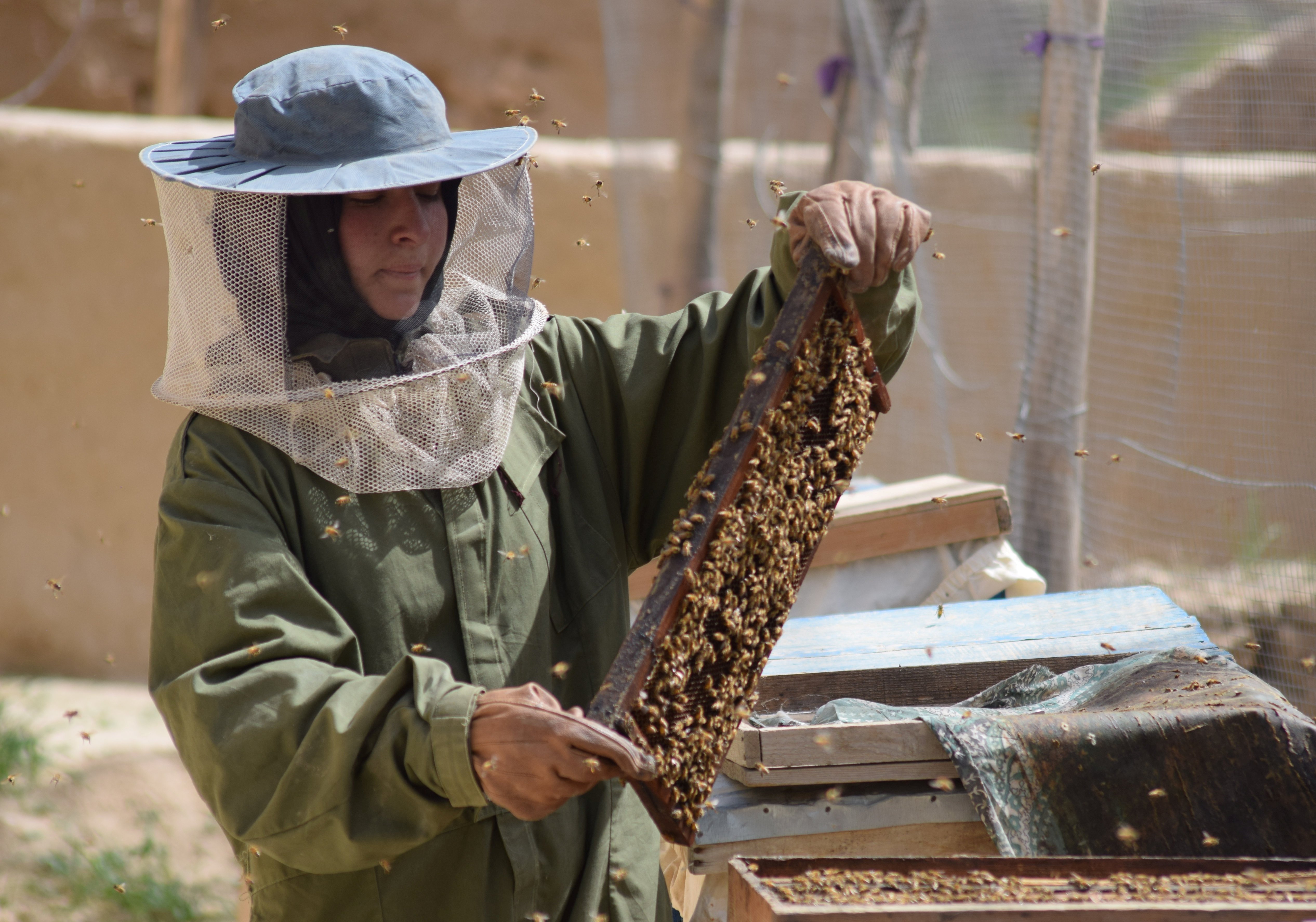 2018-04-07T053855Z_622096666_RC12646E4870_RTRMADP_3_AFGHANISTAN-BEEKEEPER