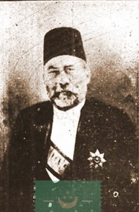 محمد باشا الشواربى