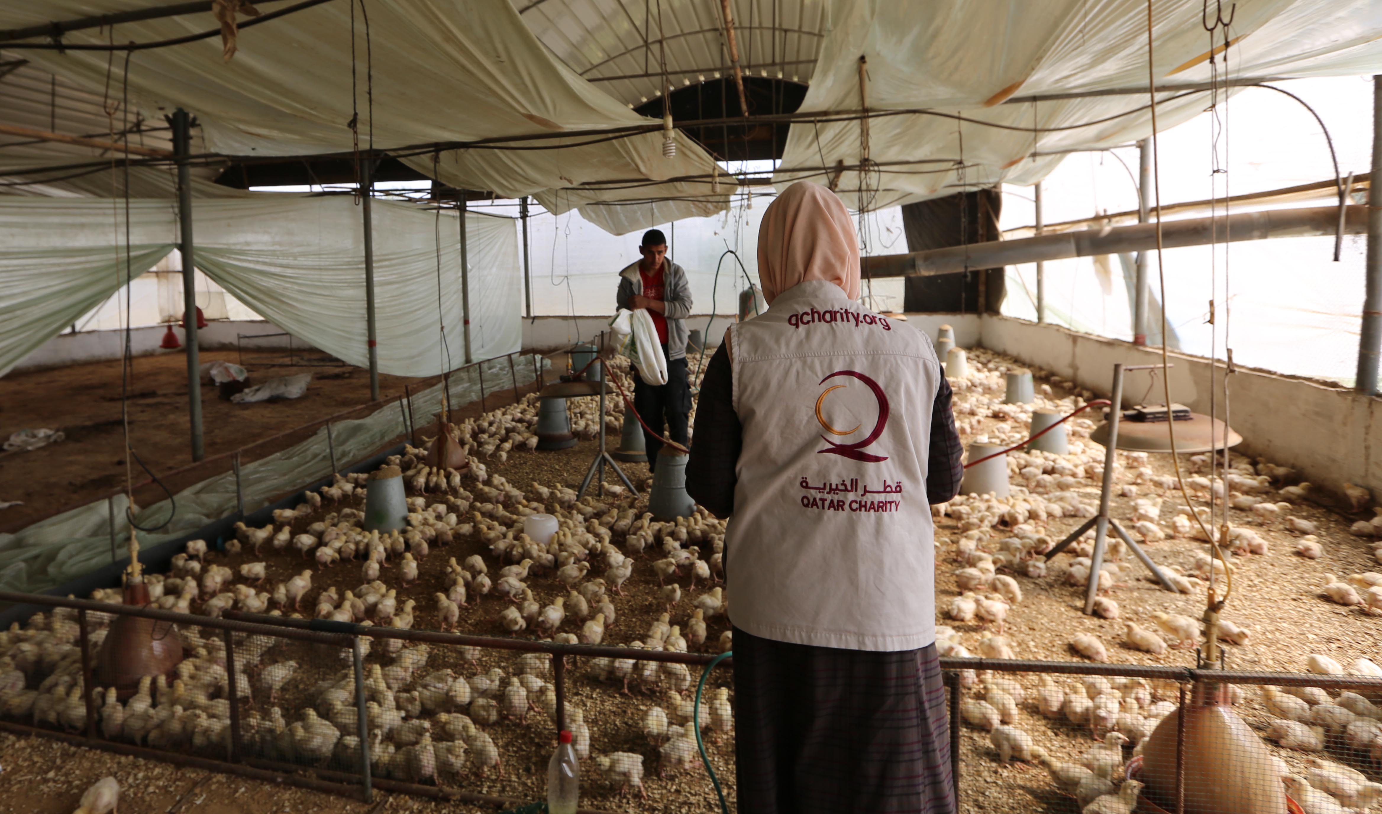 قطر تواجه أزمة فى توفير مستلزماتها من السلع الغذائية