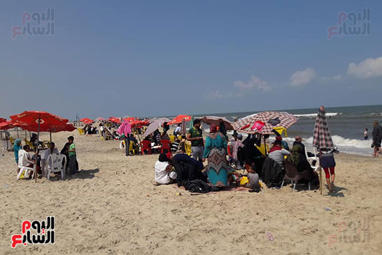 شواطئ بمحافظات مصر (15)