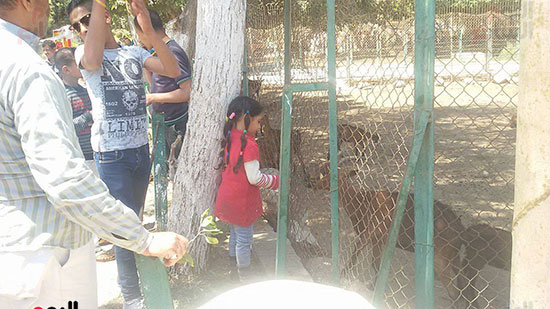  الاطفال فى حديقة حيوان بنى سويف