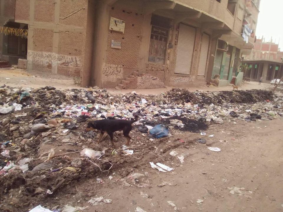 أكوام القمامة بقرية البقوشى